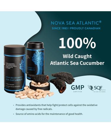 Nova Sea Atlantic Sea Cucumber Supplement Wild Caught Sea Cucumber Capsules with Fucosylated Chondroitin Vitamins Mineral Natural Antioxidant Supplement for Elderly Adult Child (Pack of 6) 120 count (Pack of 6) - Buy Online on GoSupps.com