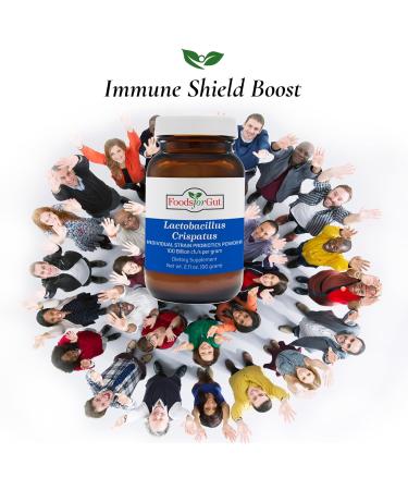 Foods For Gut Lactobacillus Crispatus Probiotic Powder 100 Billion cfu's | No Additives | Digestive & Immune Support | High Potency | L. Crispatus | 60 Grams (2.11 Oz) 2.11 Ounce (Pack of 1) - Buy Online on GoSupps.com