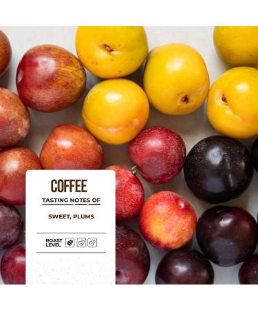 Lucky Cuppa Blue Mountain Coffee Beans Blend - Specialty Coffee Beans - Light Roast Whole Coffee Beans - Quality Coffee Gifts for Coffee Lovers - 1kg Bulk Bag - Buy Online on GoSupps.com