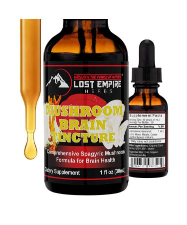 Lost Empire Herbs Mushroom Brain Spagyric Tincture | Dual Extract of Lion's Mane Cordyceps Reishi Oyster Mushrooms for Cognition (1 fl oz)