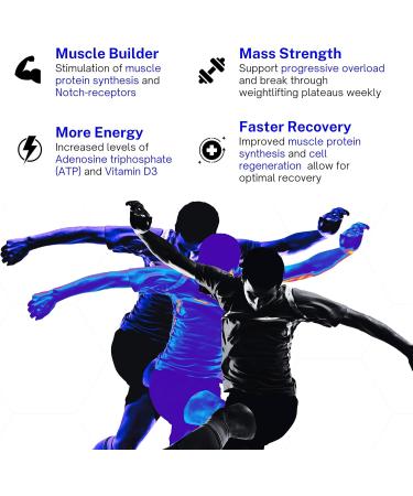 Turkesterone Europe 10% Complex with Hydroxypropyl---Cyclodextrin - 60 Capsules (500 mg) - Buy Online on GoSupps.com