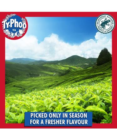 Typhoo Tea Extra Strong Orange Pekoe Tea 80 Count - Buy Online on GoSupps.com