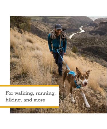 RUFFWEAR Flagline XS Reflective Dog Harness with Handle | Lightweight & Adjustable | Alpenglow Pink - Buy Online on GoSupps.com