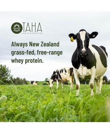 Taha Health & Nutrition Vanilla Whey Protein Powder 2LB - 25g Protein Keto Gluten-Free New Zealand Grass-Fed Low Sugar - Buy Online on GoSupps.com