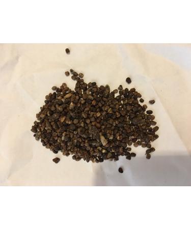 The Spiceworks The Spiceworks Hereford Herbs & Spices Dried Cardamom & Cardamon Seeds 100g