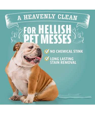 Angry Orange Pet Stain Remover & Odor Eliminator - 32oz Citrus Scented Enzyme Cleaner for Carpet & Home Use - Buy Online on GoSupps.com