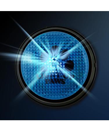 LightUp Paws LED Training Buttons for Dogs & Pets | Recordable Buzzers for Easy Communication | Perfect Pet Gift with Free Stickers - Buy Online on GoSupps.com