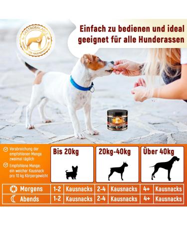 GastroBalance Healthy Anal Glands Dog Chews - 100% Natural 60 Soft Chews for Optimal Anal Gland Health - German Quality - Buy Online on GoSupps.com