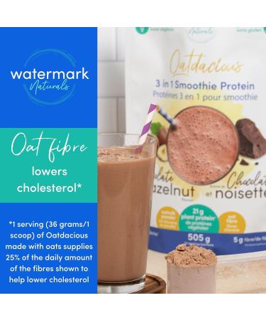 Vegan Protein Powder - Oatdacious 3 in 1 Smoothie Protein (Chocolate Hazelnut) with Oat Fibre/505 gm Gluten Free No Added Sugars - Buy Online on GoSupps.com