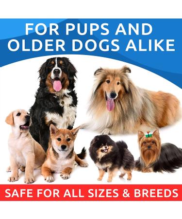 Bark&Spark Salmon Oil for Dogs & Cats - Omega-3 Skin & Coat Support - Liquid Supplement 32oz - Buy Online on GoSupps.com