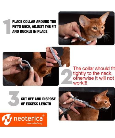 6-Month Natural Flea & Tick Collar for Cats - Effective Prevention & Safe Treatment - Anti-Flea & Tick Essential Oil Repellent - Buy Online on GoSupps.com