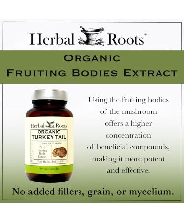 Herbal Roots Organic Turkey Tail Mushroom Supplement - Fruiting Bodies Extract - Immune Support - 60 Vegan Non GMO Capsules - Buy Online on GoSupps.com