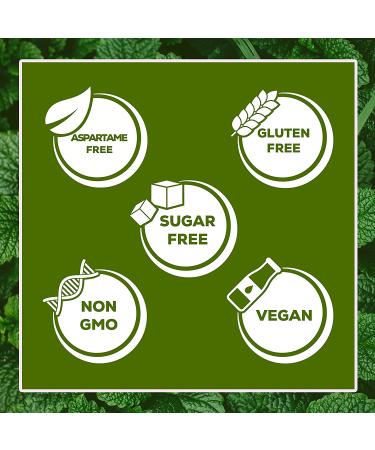 Xyloburst Xylitol Chewing Gum - Green Tea, 100 Pieces (5.29 oz) - Sugar-Free Freshness - Buy Online on GoSupps.com