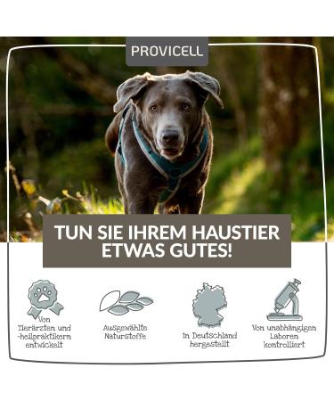 Provicell Para-W-Vital | Natural Worm Cure & Deworming Agent for Dogs | Veterinarian Developed in Germany | 120 Tablets for Effective Support - Buy Online on GoSupps.com