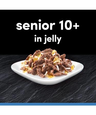CESAR Senior 10+ Deliciously Fresh Wet Dog Food Pouches Aged Dogs Mixed Selection in Jelly Suitable for Senior Dogs Aged 10+ Pack of 4 (4 x 12 Pouches x 100 g) - Buy Online on GoSupps.com