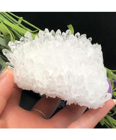 Natural Crystal Rough Beautiful Natural Clear Quartz Crystal Cluster Minerals Great Reiki Stone Home Decoration (Color : 300-350g) - Buy Online on GoSupps.com