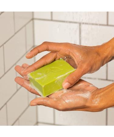 Ethique Natural Bodywash Bar - Eco-Friendly, Vegan, Plastic-Free, Matcha Lime Lemongrass - 4.23oz - Buy Online on GoSupps.com