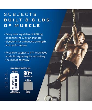 MuscleTech Nitric Oxide Booster - 30 Capsules | Muscle Builder Supplement - Buy Online on GoSupps.com