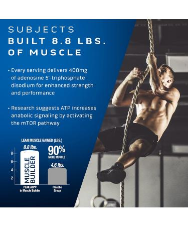 MuscleTech Muscle Building & Multivitamin Supplement Bundle - Nitric Oxide Booster and Muscle Gainer with 400mg Peak ATP 60 Pills & Platinum Multivitamin 180 ct - Buy Online on GoSupps.com