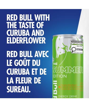 Red Bull Energy Drink Curuba-Elderflower 250ml (4 pack) - Buy Online on GoSupps.com