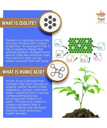 Zeolite AV Capsules - Immune System Booster with Humic Acid | Trace Minerals & Electrolyte Replenishment | Energy & Sleep Support (90 Count) - Buy Online on GoSupps.com
