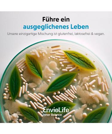 Buy Enviolife Inner Balance - 60 Capsules for Psychological Function | Dietary Supplements with Ashwagandha & Vitamin B6 - International Shipping Available - Buy Online on GoSupps.com