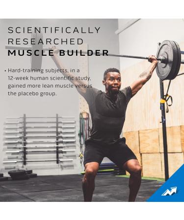 MuscleTech Muscle Builder MuscleTech Muscle Builder Muscle Building Supplements for Men & Women Nitric Oxide Booster Muscle Gainer Workout Supplement 400mg of Peak ATP for Enhanced Strength 30 Pills - Buy Online on GoSupps.com
