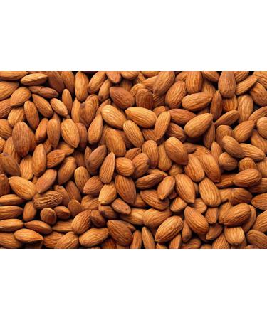 Nutural World - Smooth Almond butter (35g) - Combine any 4 to make your own gift set - Buy Online on GoSupps.com
