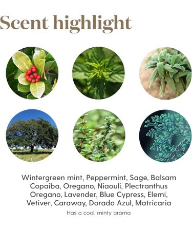Cool Azul Essential Oil 15ml - Refreshing Post-Workout Recovery Blend | Aromatherapy with 14 Cool Minty Essential Oils - Buy Online on GoSupps.com