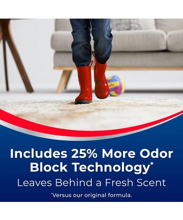 Woolite Advantage INSTAclean 44.0 Fl Oz Pack of 2 - Stain Remover for Carpets and Upholstery - Buy Online on GoSupps.com