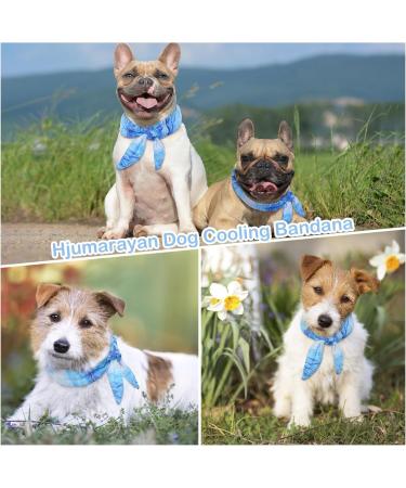 Hjumarayan Cooling Collar for Dogs | Adjustable Stylish Neckerchief for Summer Heat Relief | Perfect for Cold Dogs - Buy Online on GoSupps.com