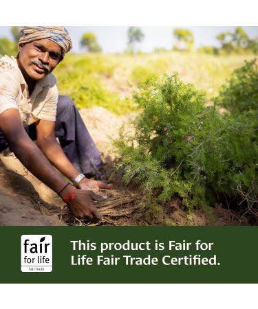 Banyan Botanicals Shatavari Powder Organic Asparagus Racemosus Root Powder Rejuvenating Adaptogen Tonic That Supports a Healthy Reproductive System* 3.5 oz. Non-GMO Sustainably Sourced Vegan - Buy Online on GoSupps.com