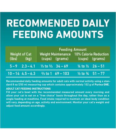 Purina ONE +Plus Dry Cat Food Indoor Advantage Salmon - 1.8 kg Bag 1.8 kg (Pack of 1) - Buy Online on GoSupps.com