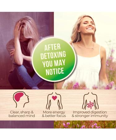 Numami Organic Detox Blueberry Smoothie Powder with Healthy Spirulina Atlantic Dulse and Barley Grass Juice Powder Premium Quality superfood from Europe Blueberry Powder 4 Ounce (Pack of 1) - Buy Online on GoSupps.com