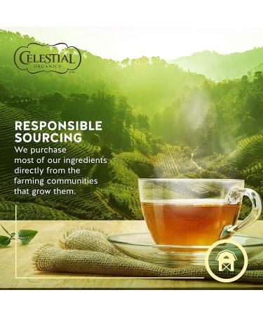 Celestial Seasonings Chamomile & Lavender Organic Herbal Tea White 6 Count - Buy Online on GoSupps.com