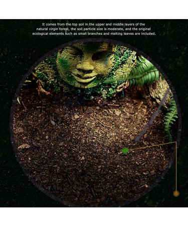 Soil 4L Reptiles Pet Feeding Soil Potting Soil Portable for Reptiles Box for Amphibian Pets - Buy Online on GoSupps.com