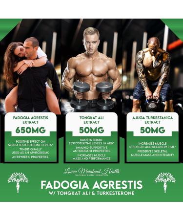 Lower Mainland Fadogia Agrestis Extract with Tongkat Ali & Turkesterone for Men | 750mg per Capsule (120 Servings) | Male Enhancement Supplement for Health & Fitness - Buy Online on GoSupps.com