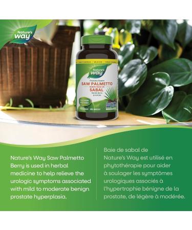 Nature's Way Saw Palmetto Berries Prostate Health 180 Softgels Value size Natural 180 Count (Pack Of 1) - Buy Online on GoSupps.com
