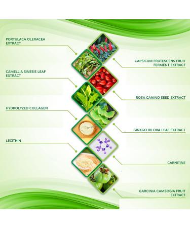 Shape & Tone Moisturizing Body Wrap - All Natural Body Applicator (5 Wraps) - Buy Online on GoSupps.com