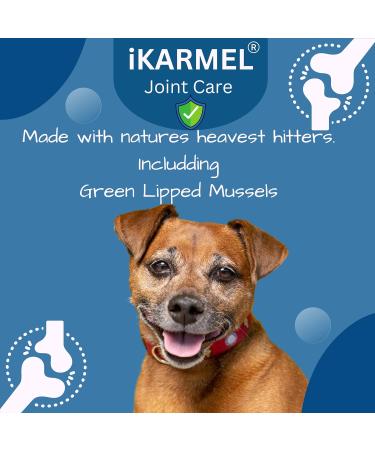 iKarmel Hip and Joint Care Supplements for Dogs - Glucosamine, Chondroitin, Green-Lipped Mussels - Senior to Puppy Treats for Stiff Joints (180 Chews) - Buy Online on GoSupps.com