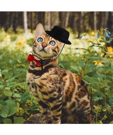 POPETPOP Guinea Pig Outfit Hamster Hat and Bowtie Set - Small Animal Costume for Parties and Festivals - Perfect for Rats, Sugar Gliders, Rabbits, Chinchillas, Ferrets, and Cats - Black - Buy Online on GoSupps.com