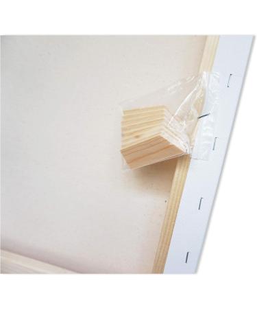 LWR CRAFTS Stretched Canvas 18x18 - Pack of 2 | 2 Pack 18x18x2 Square Canvases - Buy Online on GoSupps.com