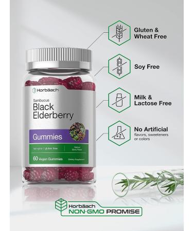 Sambucus Black Elderberry Gummies with Zinc and Vitamin C - 60 Count | Vegan, Non-GMO, Gluten Free Extract for Adults | Natural Berry Flavor by Horbaach - Buy Online on GoSupps.com