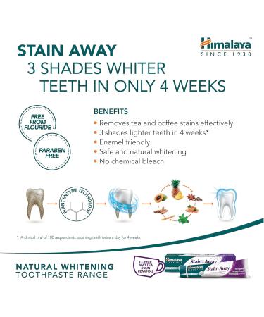 Himalaya Herbals Stain-Away Toothpaste | Enamel Protection & Stain Removal | Multi-Action Mint Formula | Pack of 3 (75ml) - Shop Now for International Shipping - Buy Online on GoSupps.com