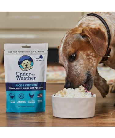 Under the Weather Easy to Digest Bland Dog Food Diet for Sick Dogs with Electrolytes - Gluten Free, All Natural, Freeze Dried - 6 Pack of Rice, Chicken & Bone Broth 6oz - Buy Online on GoSupps.com