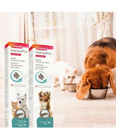 BEAPHAR IntestoPro Food Supplement to improve stool consistency Promotes Digestion Active Ingredient of Natural Origin for Cats and Small Dogs (1 15 kg) 20 ML - Buy Online on GoSupps.com