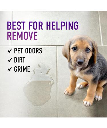 Hoover Pet Hard Floor Cleaner Fresh Breeze 32oz AH31430CA - Buy Online on GoSupps.com