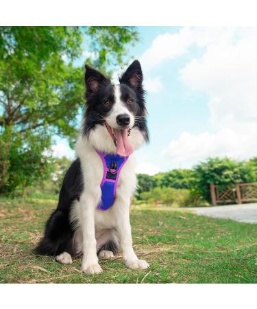Phoepet XL Dog Harness - No Training Needed Reflective & Adjustable Vest with Training Handle 2 Metal Leash Hooks 3 Snap Buckles 4 Slide Snaps - K nigsblau - Buy Online on GoSupps.com
