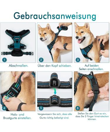 Rabbitgoo No-Pull Dog Harness for Medium & Large Dogs - Breathable Reflective Anti-Training Control - Dark Green (1 Pack) - Buy Online on GoSupps.com