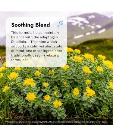 Irwin Naturals Sunny Mood with 5 HTP (80 Softgels) - Vitamin D3 Stress Support & Irwin Pill Case Bundle - International Shipping Available - Buy Online on GoSupps.com